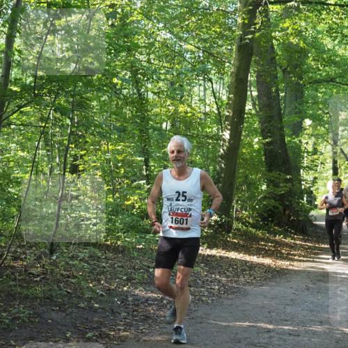 22.09.2024 - 32. Volkslauf durch das schöne Alstertal Miley Keyser http://msf.ph/oto/7137416 22.09.2024 10:20:51 Laufen 25, 1601, 1010, 1573 meine-sportfotos.de