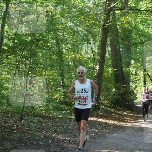 22.09.2024 - 32. Volkslauf durch das schöne Alstertal Miley Keyser http://msf.ph/oto/7137417 22.09.2024 10:20:51 Laufen 25, 1601, 01, 1573 meine-sportfotos.de