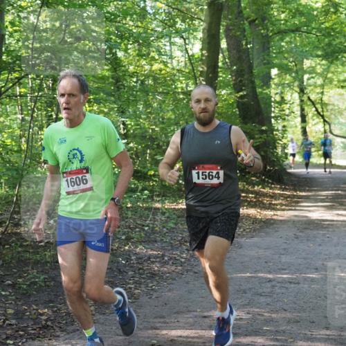 22.09.2024 - 32. Volkslauf durch das schöne Alstertal Miley Keyser http://msf.ph/oto/7137432 22.09.2024 10:20:40 Laufen 1606, 1564 meine-sportfotos.de