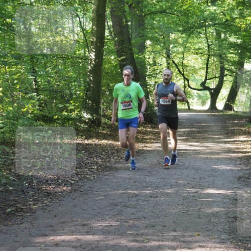 22.09.2024 - 32. Volkslauf durch das schöne Alstertal Miley Keyser http://msf.ph/oto/7137440 22.09.2024 10:20:38 Laufen 1606, 1564 meine-sportfotos.de