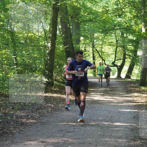 22.09.2024 - 32. Volkslauf durch das schöne Alstertal Miley Keyser http://msf.ph/oto/7137450 22.09.2024 10:20:33 Laufen 1007, 1590 meine-sportfotos.de