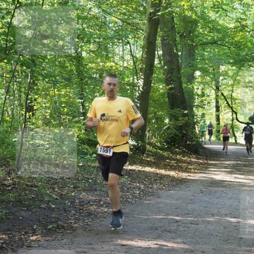 22.09.2024 - 32. Volkslauf durch das schöne Alstertal Miley Keyser http://msf.ph/oto/7137451 22.09.2024 10:20:27 Laufen 1591 meine-sportfotos.de