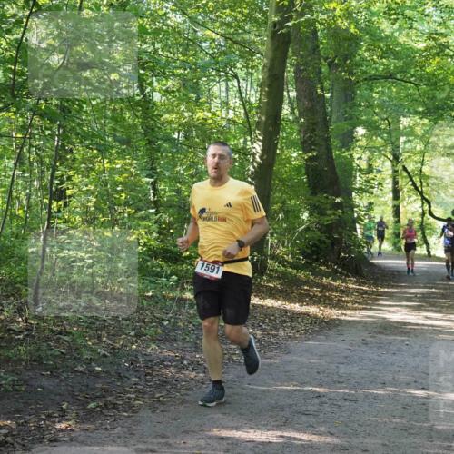 22.09.2024 - 32. Volkslauf durch das schöne Alstertal Miley Keyser http://msf.ph/oto/7137454 22.09.2024 10:20:27 Laufen 1591 meine-sportfotos.de