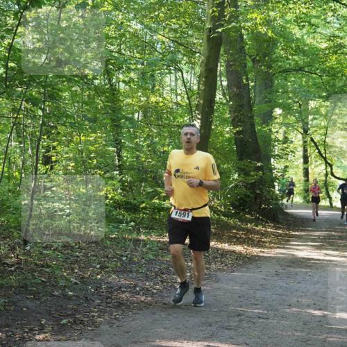 22.09.2024 - 32. Volkslauf durch das schöne Alstertal Miley Keyser http://msf.ph/oto/7137455 22.09.2024 10:20:26 Laufen 1591 meine-sportfotos.de