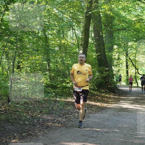 22.09.2024 - 32. Volkslauf durch das schöne Alstertal Miley Keyser http://msf.ph/oto/7137456 22.09.2024 10:20:26 Laufen 1591 meine-sportfotos.de