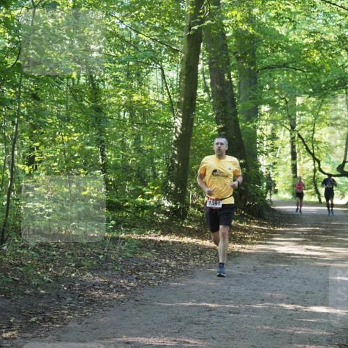 22.09.2024 - 32. Volkslauf durch das schöne Alstertal Miley Keyser http://msf.ph/oto/7137457 22.09.2024 10:20:26 Laufen 1591 meine-sportfotos.de