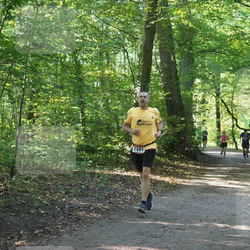 22.09.2024 - 32. Volkslauf durch das schöne Alstertal Miley Keyser http://msf.ph/oto/7137458 22.09.2024 10:20:26 Laufen 1591 meine-sportfotos.de