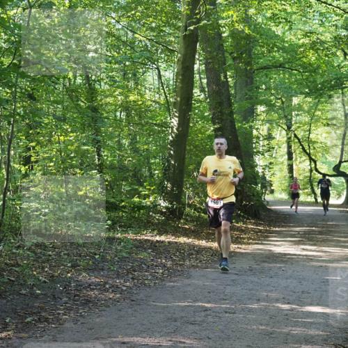 22.09.2024 - 32. Volkslauf durch das schöne Alstertal Miley Keyser http://msf.ph/oto/7137459 22.09.2024 10:20:25 Laufen 1591 meine-sportfotos.de