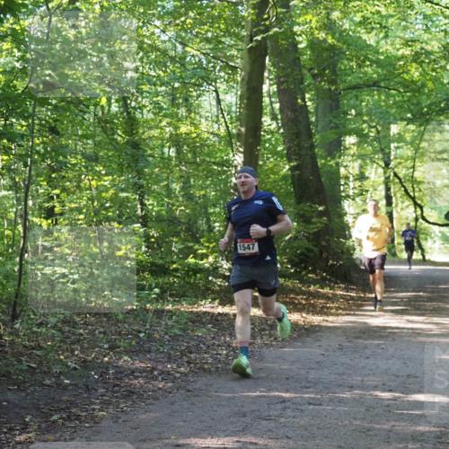 22.09.2024 - 32. Volkslauf durch das schöne Alstertal Miley Keyser http://msf.ph/oto/7137464 22.09.2024 10:20:23 Laufen 1547 meine-sportfotos.de