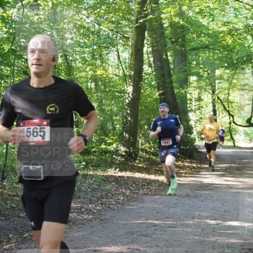22.09.2024 - 32. Volkslauf durch das schöne Alstertal Miley Keyser http://msf.ph/oto/7137465 22.09.2024 10:20:23 Laufen 1565, 1547 meine-sportfotos.de