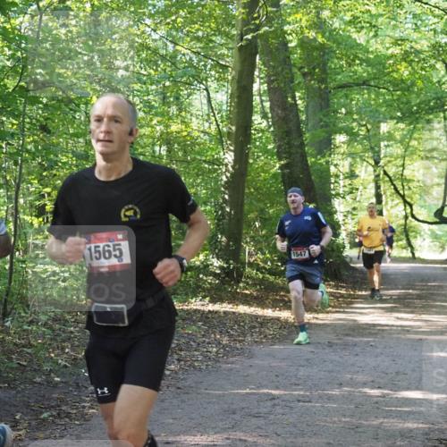 22.09.2024 - 32. Volkslauf durch das schöne Alstertal Miley Keyser http://msf.ph/oto/7137466 22.09.2024 10:20:23 Laufen 1565, 1547 meine-sportfotos.de