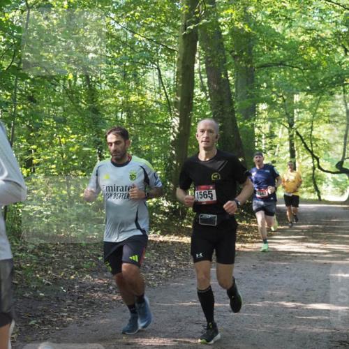 22.09.2024 - 32. Volkslauf durch das schöne Alstertal Miley Keyser http://msf.ph/oto/7137467 22.09.2024 10:20:22 Laufen 1565, 1547 meine-sportfotos.de