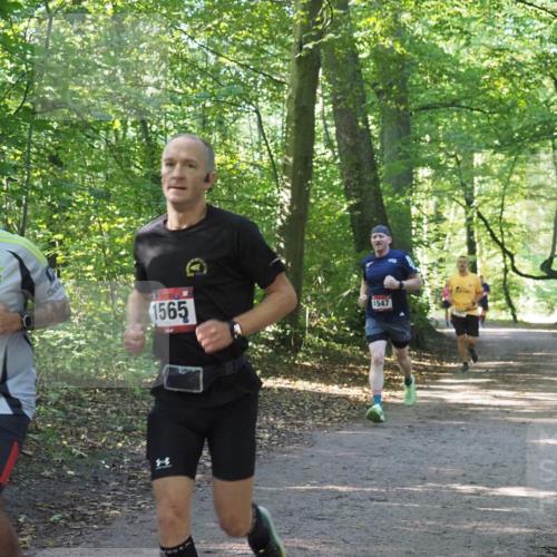 22.09.2024 - 32. Volkslauf durch das schöne Alstertal Miley Keyser http://msf.ph/oto/7137468 22.09.2024 10:20:23 Laufen 1565, 1547 meine-sportfotos.de