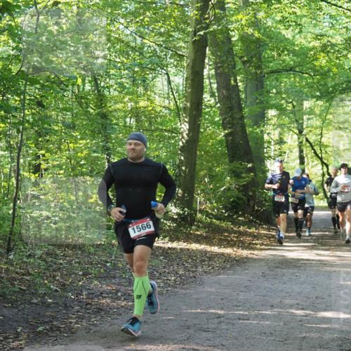 22.09.2024 - 32. Volkslauf durch das schöne Alstertal Miley Keyser http://msf.ph/oto/7137479 22.09.2024 10:20:17 Laufen 1566, 1551, 1576 meine-sportfotos.de