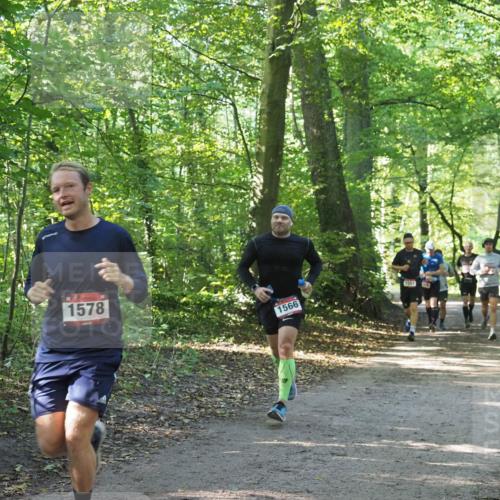 22.09.2024 - 32. Volkslauf durch das schöne Alstertal Miley Keyser http://msf.ph/oto/7137482 22.09.2024 10:20:16 Laufen 1578, 1566, 155197 meine-sportfotos.de