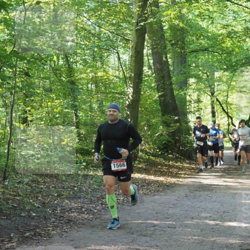 22.09.2024 - 32. Volkslauf durch das schöne Alstertal Miley Keyser http://msf.ph/oto/7137484 22.09.2024 10:20:17 Laufen 1566, 1551, 1600 meine-sportfotos.de