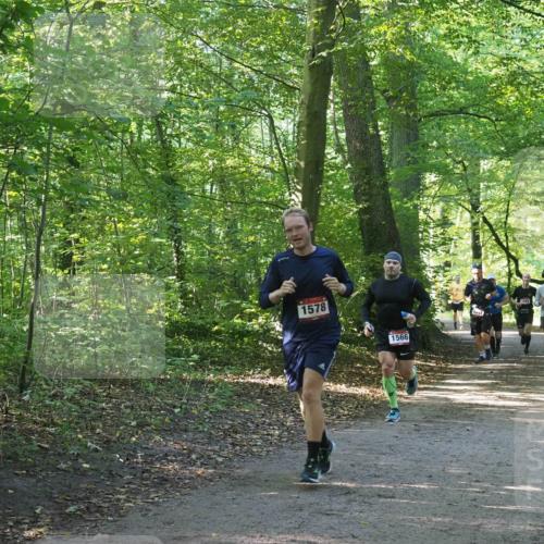 22.09.2024 - 32. Volkslauf durch das schöne Alstertal Miley Keyser http://msf.ph/oto/7137487 22.09.2024 10:20:15 Laufen 1578, 1566, 1569, 1600 meine-sportfotos.de