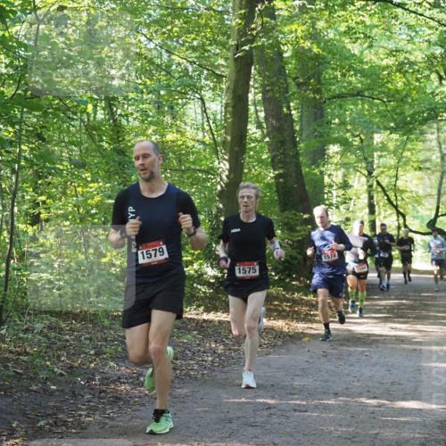 22.09.2024 - 32. Volkslauf durch das schöne Alstertal Miley Keyser http://msf.ph/oto/7137491 22.09.2024 10:20:14 Laufen 1579, 1575, 1578, 1566 meine-sportfotos.de