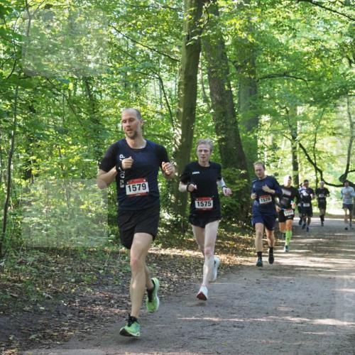 22.09.2024 - 32. Volkslauf durch das schöne Alstertal Miley Keyser http://msf.ph/oto/7137492 22.09.2024 10:20:14 Laufen 1579, 1575, 1578, 1566 meine-sportfotos.de