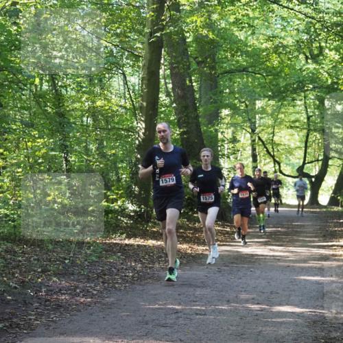 22.09.2024 - 32. Volkslauf durch das schöne Alstertal Miley Keyser http://msf.ph/oto/7137494 22.09.2024 10:20:13 Laufen 1579, 1575, 1578, 1566, 1500 meine-sportfotos.de
