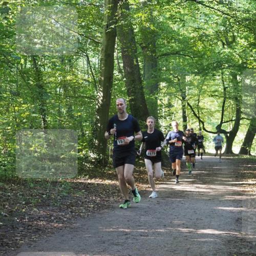 22.09.2024 - 32. Volkslauf durch das schöne Alstertal Miley Keyser http://msf.ph/oto/7137495 22.09.2024 10:20:13 Laufen 157, 1575, 1578, 1566 meine-sportfotos.de