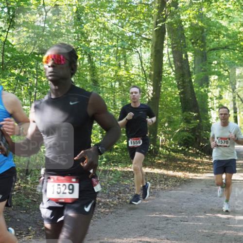 22.09.2024 - 32. Volkslauf durch das schöne Alstertal Miley Keyser http://msf.ph/oto/7137505 22.09.2024 10:19:59 Laufen 1533, 1529, 1559, 1570 meine-sportfotos.de
