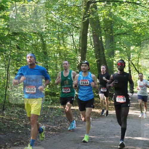 22.09.2024 - 32. Volkslauf durch das schöne Alstertal Miley Keyser http://msf.ph/oto/7137506 22.09.2024 10:19:58 Laufen 1550, 1534, 1533, 1559, 1529, 1570 meine-sportfotos.de