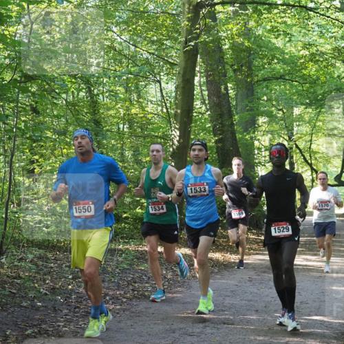 22.09.2024 - 32. Volkslauf durch das schöne Alstertal Miley Keyser http://msf.ph/oto/7137509 22.09.2024 10:19:58 Laufen 1550, 1534, 1533, 1559, 1529, 1570 meine-sportfotos.de