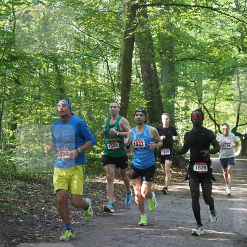 22.09.2024 - 32. Volkslauf durch das schöne Alstertal Miley Keyser http://msf.ph/oto/7137510 22.09.2024 10:19:58 Laufen 1550, 1534, 1533, 1559, 1529, 1570 meine-sportfotos.de