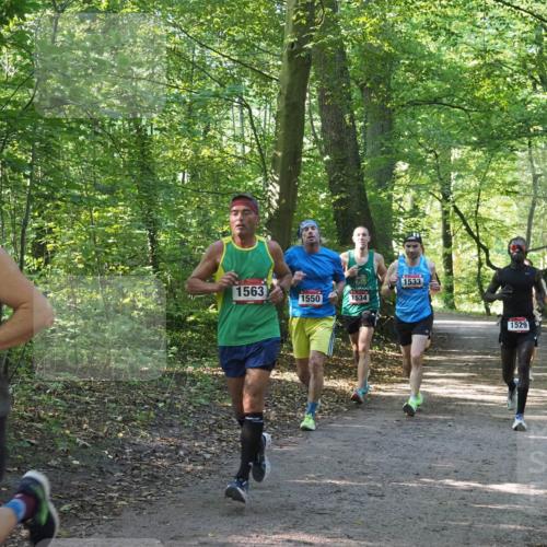 22.09.2024 - 32. Volkslauf durch das schöne Alstertal Miley Keyser http://msf.ph/oto/7137512 22.09.2024 10:19:57 Laufen 1556, 1563, 1550, 1534, 1533, 1529 meine-sportfotos.de