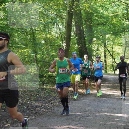 22.09.2024 - 32. Volkslauf durch das schöne Alstertal Miley Keyser http://msf.ph/oto/7137515 22.09.2024 10:19:57 Laufen 1533, 1563, 1550, 1534, 1529 meine-sportfotos.de