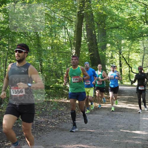 22.09.2024 - 32. Volkslauf durch das schöne Alstertal Miley Keyser http://msf.ph/oto/7137516 22.09.2024 10:19:57 Laufen 1556, 156, 1550, 1534, 1533, 1529 meine-sportfotos.de