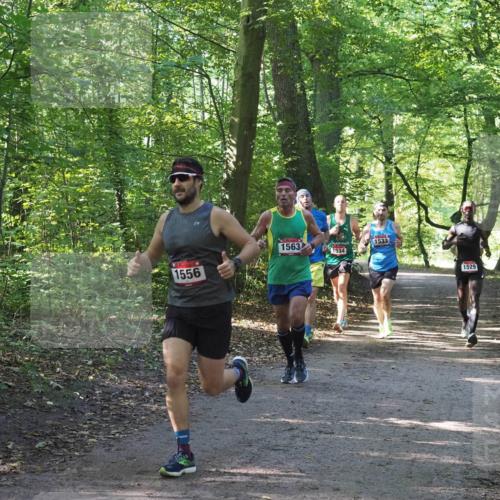 22.09.2024 - 32. Volkslauf durch das schöne Alstertal Miley Keyser http://msf.ph/oto/7137517 22.09.2024 10:19:56 Laufen 1563, 1533, 1534, 1556, 1529 meine-sportfotos.de