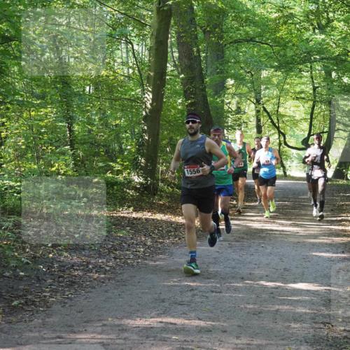 22.09.2024 - 32. Volkslauf durch das schöne Alstertal Miley Keyser http://msf.ph/oto/7137518 22.09.2024 10:19:55 Laufen 1556 meine-sportfotos.de