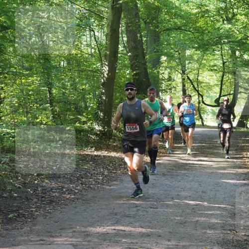 22.09.2024 - 32. Volkslauf durch das schöne Alstertal Miley Keyser http://msf.ph/oto/7137519 22.09.2024 10:19:56 Laufen 1556, 534, 1533 meine-sportfotos.de