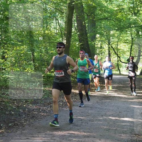 22.09.2024 - 32. Volkslauf durch das schöne Alstertal Miley Keyser http://msf.ph/oto/7137520 22.09.2024 10:19:56 Laufen 1556, 156, 1534, 1533 meine-sportfotos.de