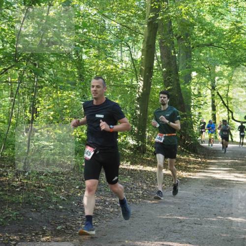 22.09.2024 - 32. Volkslauf durch das schöne Alstertal Miley Keyser http://msf.ph/oto/7137525 22.09.2024 10:19:49 Laufen 546, 545 meine-sportfotos.de