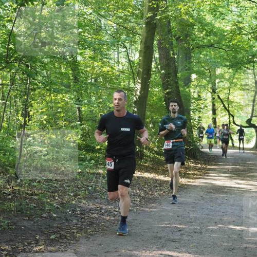 22.09.2024 - 32. Volkslauf durch das schöne Alstertal Miley Keyser http://msf.ph/oto/7137528 22.09.2024 10:19:49 Laufen 545, 546 meine-sportfotos.de