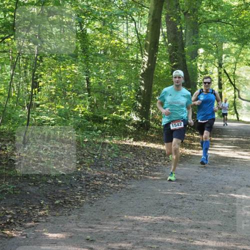 22.09.2024 - 32. Volkslauf durch das schöne Alstertal Miley Keyser http://msf.ph/oto/7137548 22.09.2024 10:19:36 Laufen 1542 meine-sportfotos.de