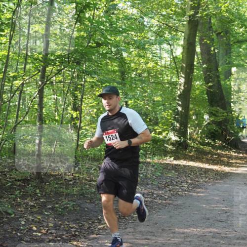 22.09.2024 - 32. Volkslauf durch das schöne Alstertal Miley Keyser http://msf.ph/oto/7137553 22.09.2024 10:19:26 Laufen 1524 meine-sportfotos.de