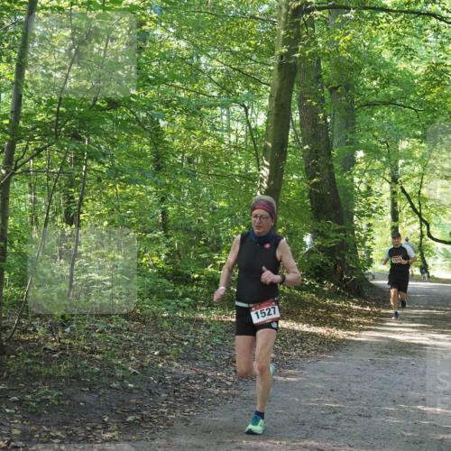 22.09.2024 - 32. Volkslauf durch das schöne Alstertal Miley Keyser http://msf.ph/oto/7137563 22.09.2024 10:19:22 Laufen 1527, 1524 meine-sportfotos.de