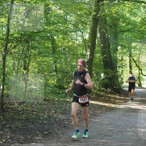 22.09.2024 - 32. Volkslauf durch das schöne Alstertal Miley Keyser http://msf.ph/oto/7137565 22.09.2024 10:19:22 Laufen 1527, 3, 1524 meine-sportfotos.de