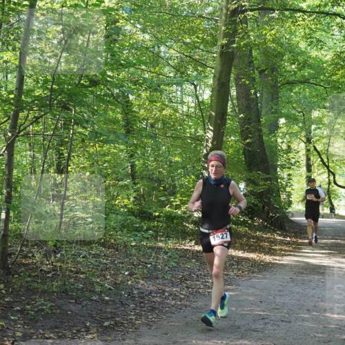 22.09.2024 - 32. Volkslauf durch das schöne Alstertal Miley Keyser http://msf.ph/oto/7137568 22.09.2024 10:19:21 Laufen 1527, 1524 meine-sportfotos.de