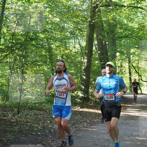 22.09.2024 - 32. Volkslauf durch das schöne Alstertal Miley Keyser http://msf.ph/oto/7137581 22.09.2024 10:19:14 Laufen 4, 1557, 1526 meine-sportfotos.de