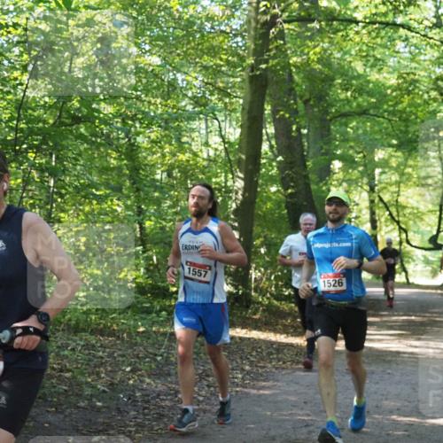 22.09.2024 - 32. Volkslauf durch das schöne Alstertal Miley Keyser http://msf.ph/oto/7137583 22.09.2024 10:19:14 Laufen 1552, 4, 1557, 1526 meine-sportfotos.de