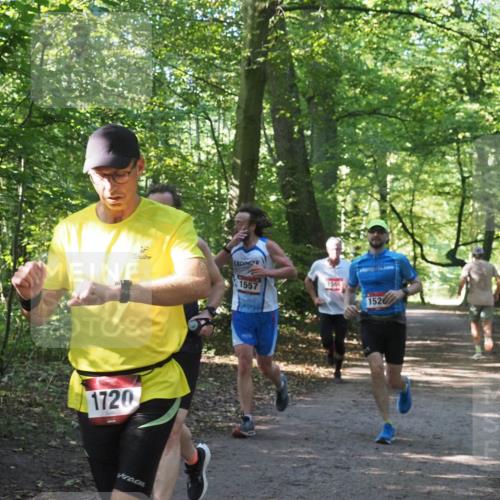 22.09.2024 - 32. Volkslauf durch das schöne Alstertal Miley Keyser http://msf.ph/oto/7137586 22.09.2024 10:19:13 Laufen 1557, 1720, 1565, 1526 meine-sportfotos.de