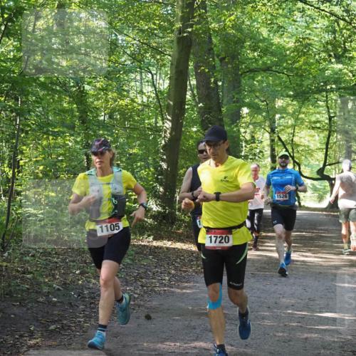 22.09.2024 - 32. Volkslauf durch das schöne Alstertal Miley Keyser http://msf.ph/oto/7137587 22.09.2024 10:19:13 Laufen 1105, 1720, 69, 4, 1526 meine-sportfotos.de