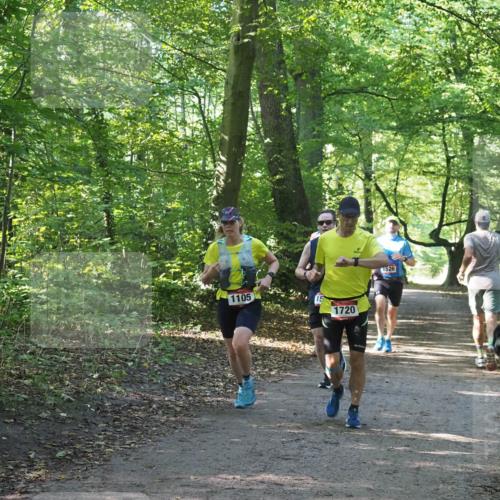 22.09.2024 - 32. Volkslauf durch das schöne Alstertal Miley Keyser http://msf.ph/oto/7137591 22.09.2024 10:19:12 Laufen 1105, 1720, 1526 meine-sportfotos.de