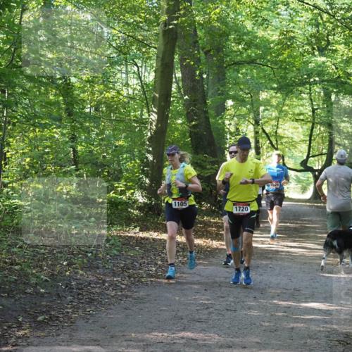 22.09.2024 - 32. Volkslauf durch das schöne Alstertal Miley Keyser http://msf.ph/oto/7137592 22.09.2024 10:19:12 Laufen 1105, 1720, 1526 meine-sportfotos.de