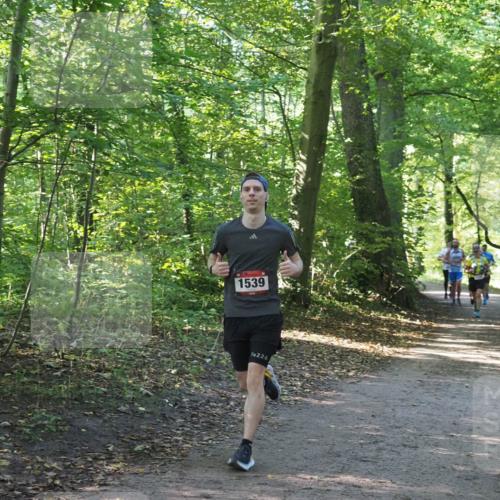 22.09.2024 - 32. Volkslauf durch das schöne Alstertal Miley Keyser http://msf.ph/oto/7137593 22.09.2024 10:19:07 Laufen 1539, 226 meine-sportfotos.de